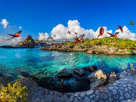 xcaret natural adventure park cozumel|Xcaret excursion